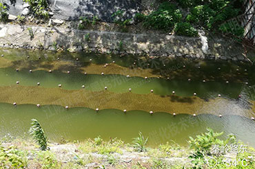 硬質岸坡河道消除黑臭-江蘇省常州市長溝河