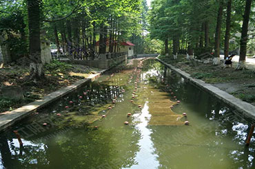 硬質岸坡河道消除黑臭-江蘇省南通市城南中心河