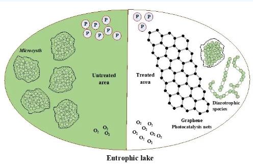 云南大學張虎才研究團隊發(fā)表石墨烯光催化技術對高污染富營養(yǎng)化湖泊水質提升實驗研究成果