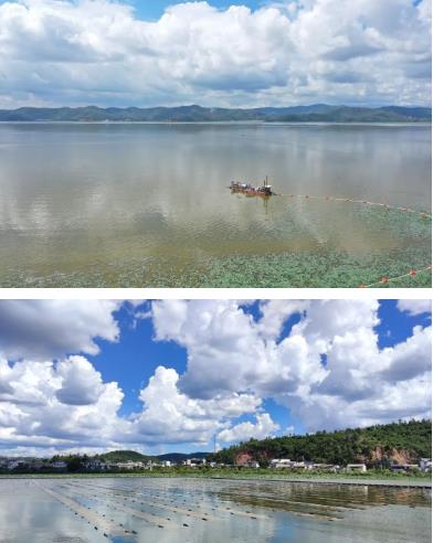 河湖生態(tài)緩沖帶保護修復技術(shù)指南