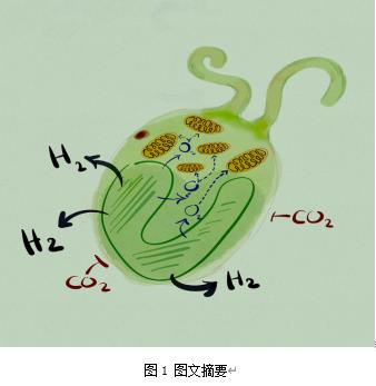  雙良環(huán)境最新科研動態(tài)(2022-09)