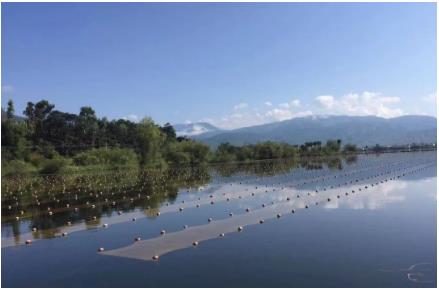 湖北“黑科技”將湖泊水庫污水就地變清流，雙良值得推廣