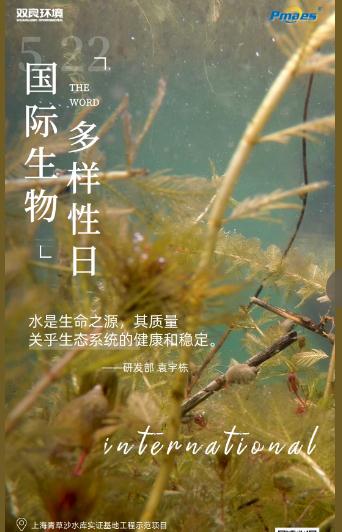 5.22生物多樣性日｜共護(hù)碧水清波，共建和諧生態(tài)！